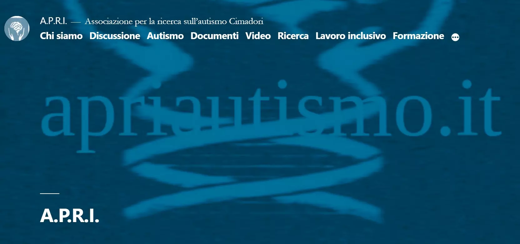 Linee Guida Autismo: home page dell’Associazione Cimadori per la ricerca italiana sulla sindrome di Down, l’autismo e il danno cerebrale (A.P.R.I.)